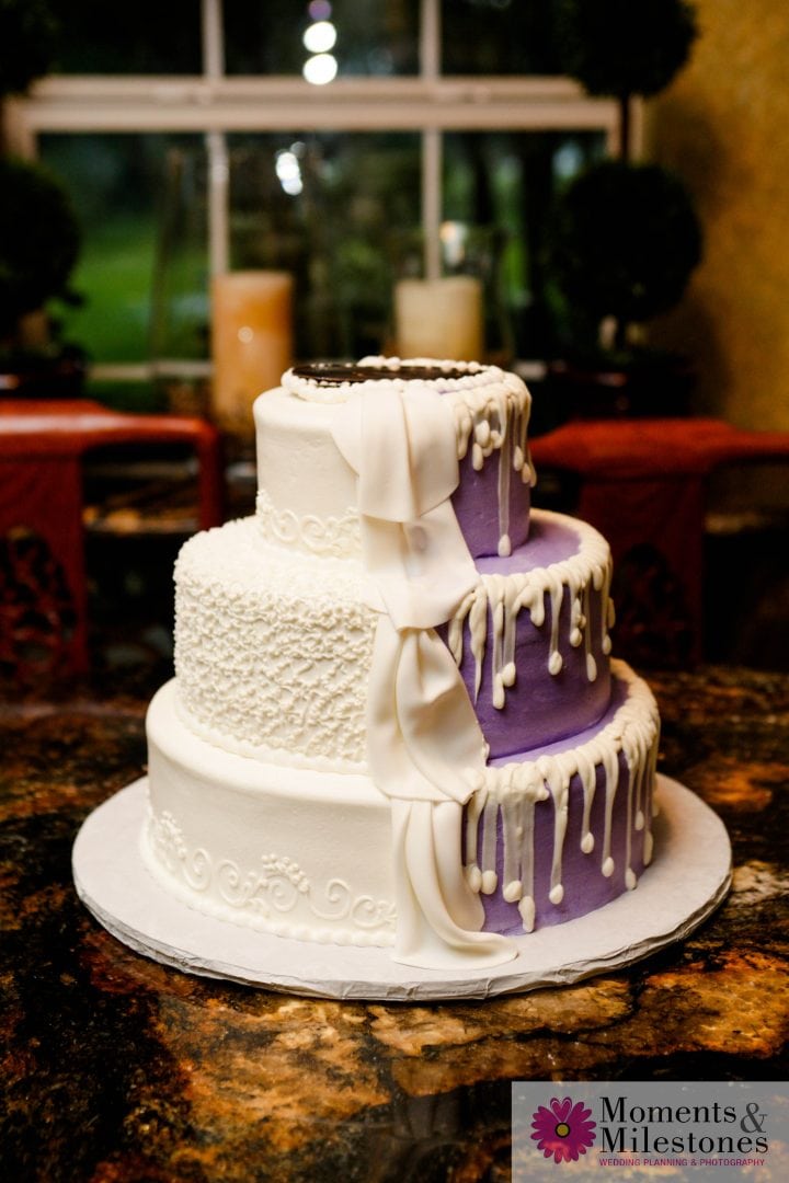 Spring Branch Wedding Moments and Milestones