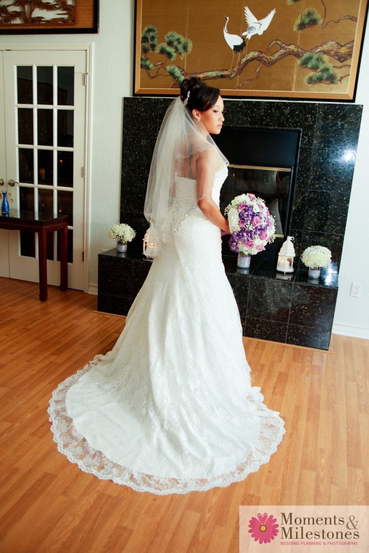 Spring Branch Wedding Moments and Milestones